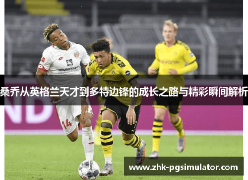 桑乔从英格兰天才到多特边锋的成长之路与精彩瞬间解析