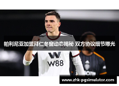 帕利尼亚加盟拜仁冬窗动态揭秘 双方协议细节曝光 帕利尼亚加盟拜仁冬窗动态揭秘 双方协议细节曝光